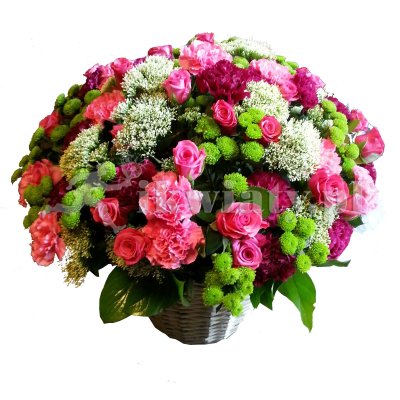 Image result for florists wrocÅaw